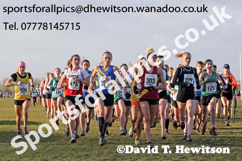 Senior womens Northern Cross Country  Championships, Pontefract. Photo: David T. Hewitson/Sports for All Pics